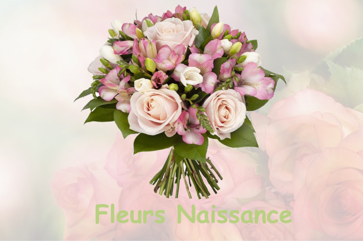 fleurs naissance ESCRAGNOLLES