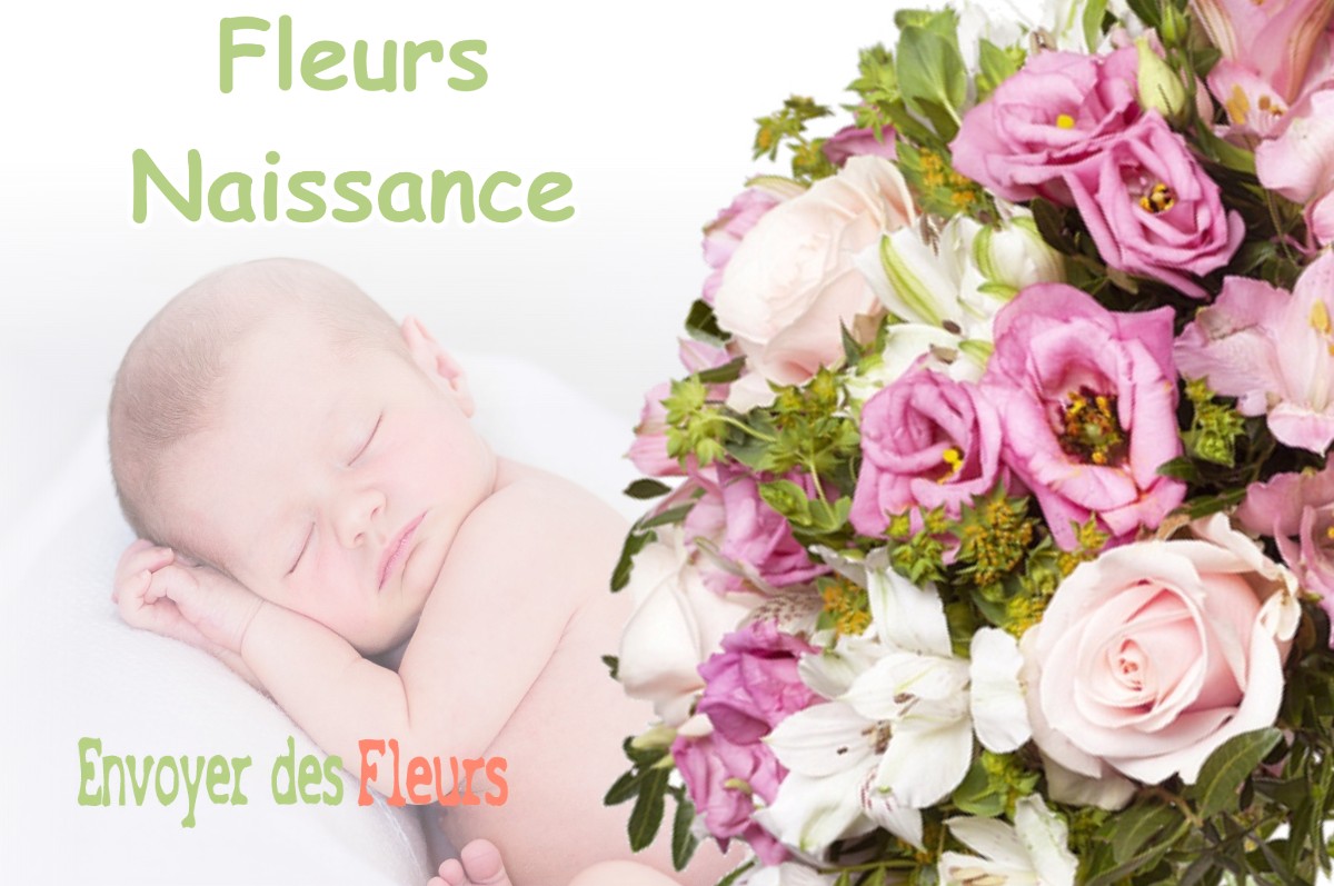 lIVRAISON FLEURS NAISSANCE à ESCRAGNOLLES